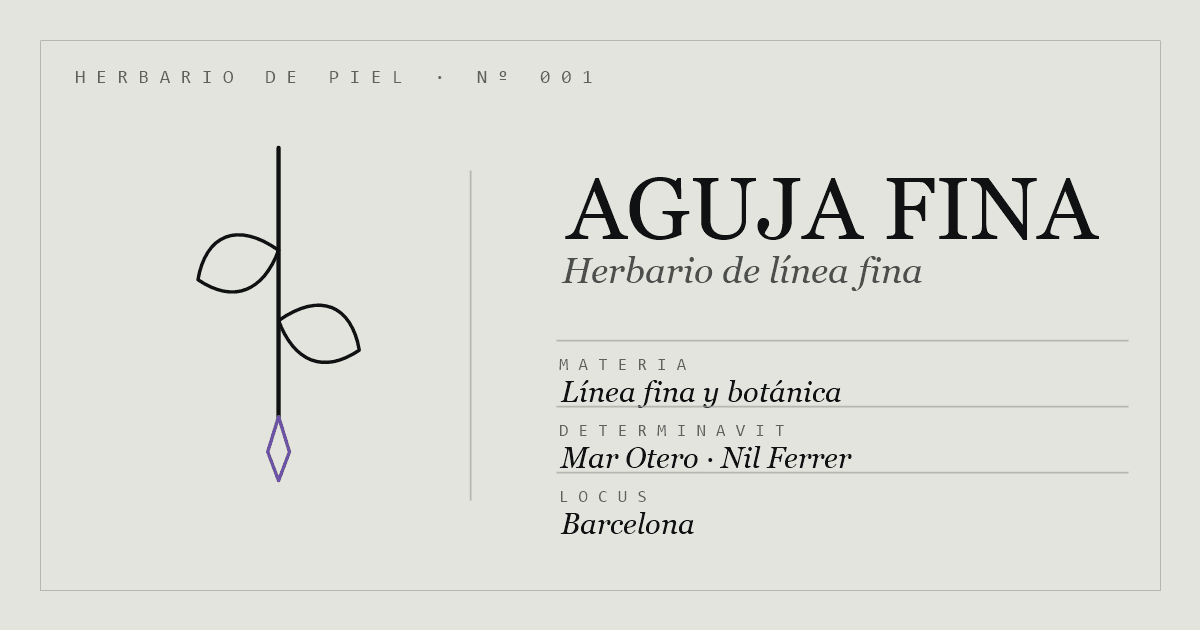 Aguja Fina